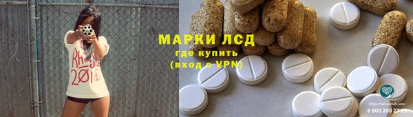 ГАЛЛЮЦИНОГЕННЫЕ ГРИБЫ Вяземский