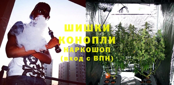 ГАЛЛЮЦИНОГЕННЫЕ ГРИБЫ Вяземский