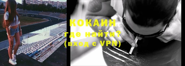 ГАЛЛЮЦИНОГЕННЫЕ ГРИБЫ Вяземский