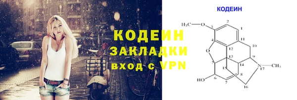 ГАЛЛЮЦИНОГЕННЫЕ ГРИБЫ Вяземский