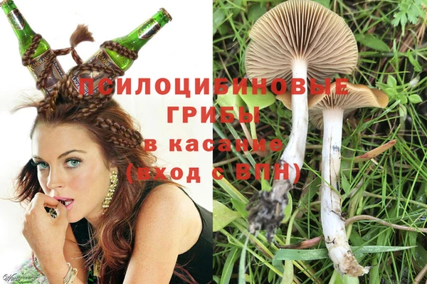 ГАЛЛЮЦИНОГЕННЫЕ ГРИБЫ Вяземский