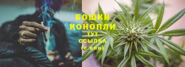 ГАЛЛЮЦИНОГЕННЫЕ ГРИБЫ Вяземский