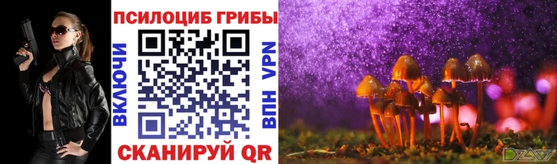 Галлюциногенные грибы Cubensis Березники